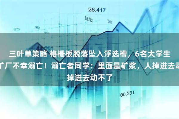三叶草策略 格栅板脱落坠入浮选槽，6名大学生在选矿厂不幸溺亡！溺亡者同学：里面是矿浆，人掉进去动不了